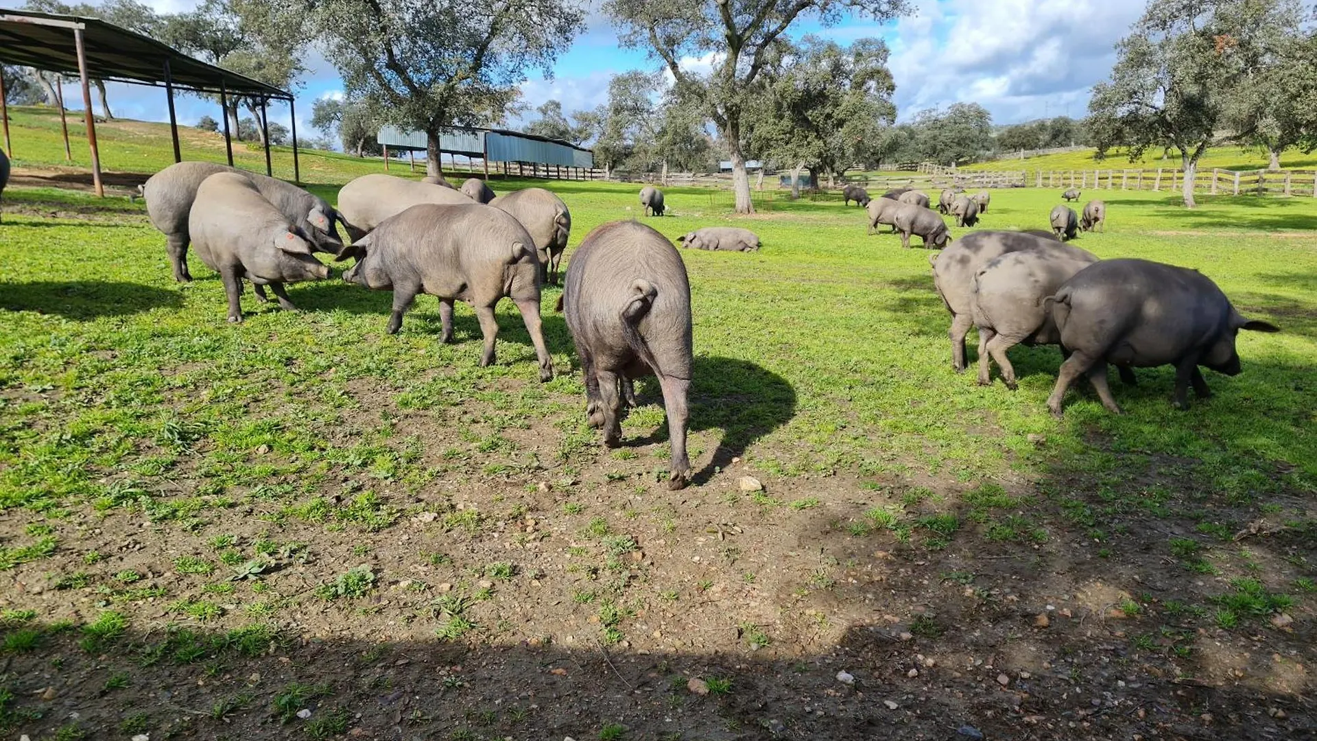 Alojamiento Rural Finca Barral El Garrobo Resort