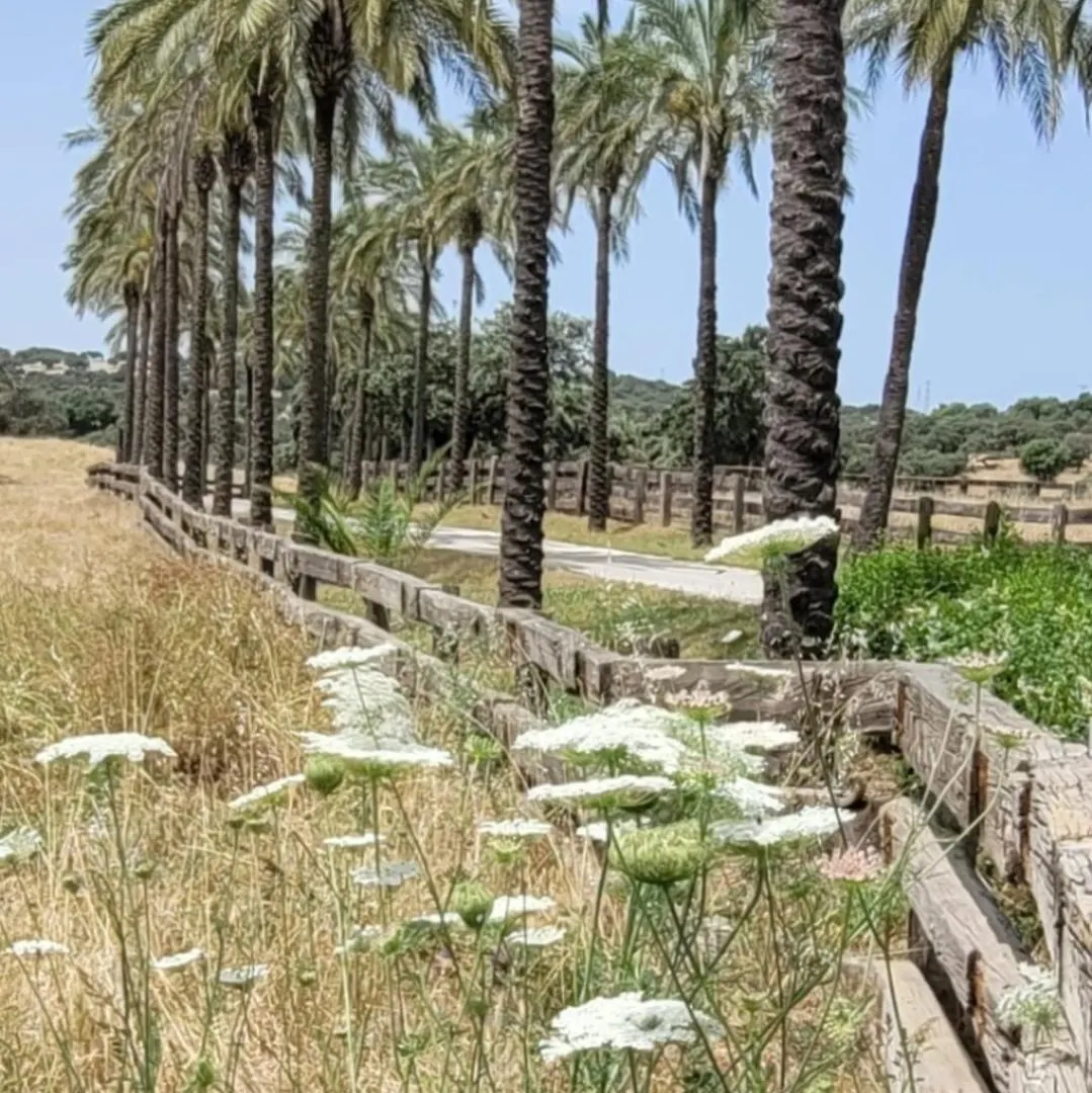 Alojamiento Rural Finca Barral El Garrobo 0*,  Spain