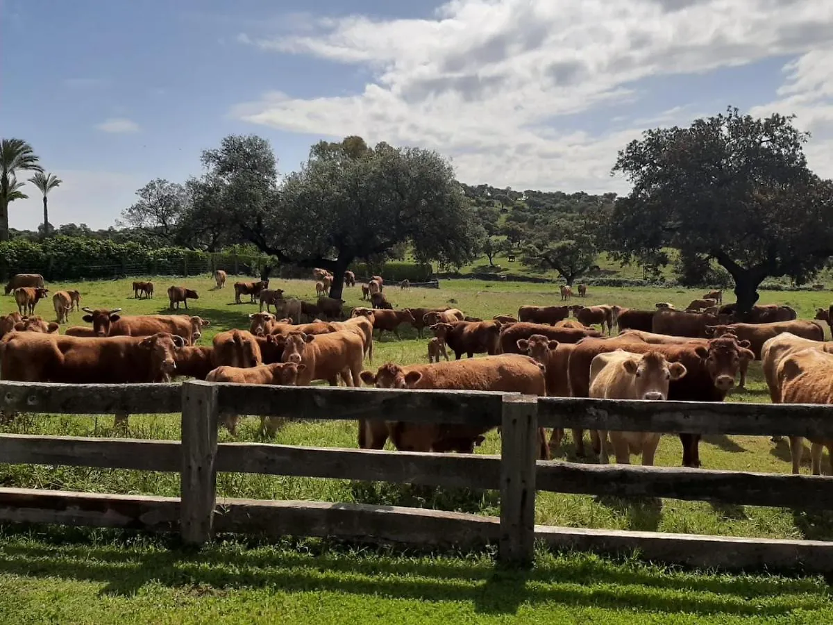 Alojamiento Rural Finca Barral El Garrobo 0*,  Spain