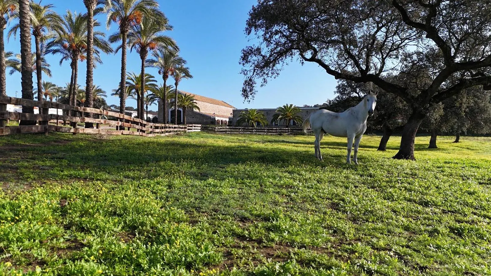 Alojamiento Rural Finca Barral El Garrobo 0*,
