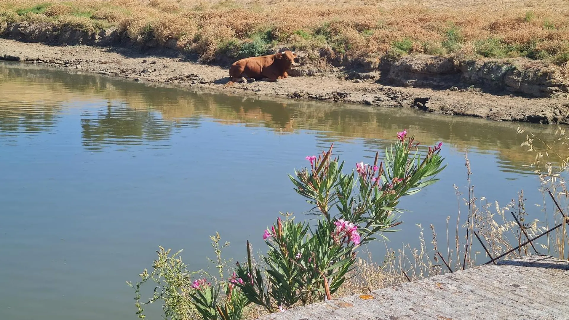 Resort Alojamiento Rural Finca Barral El Garrobo
