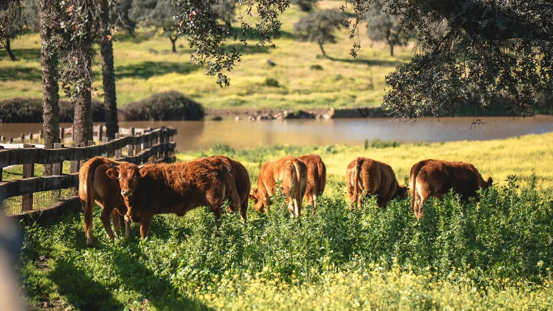 Alojamiento Rural Finca Barral El Garrobo 0*,  Spain
