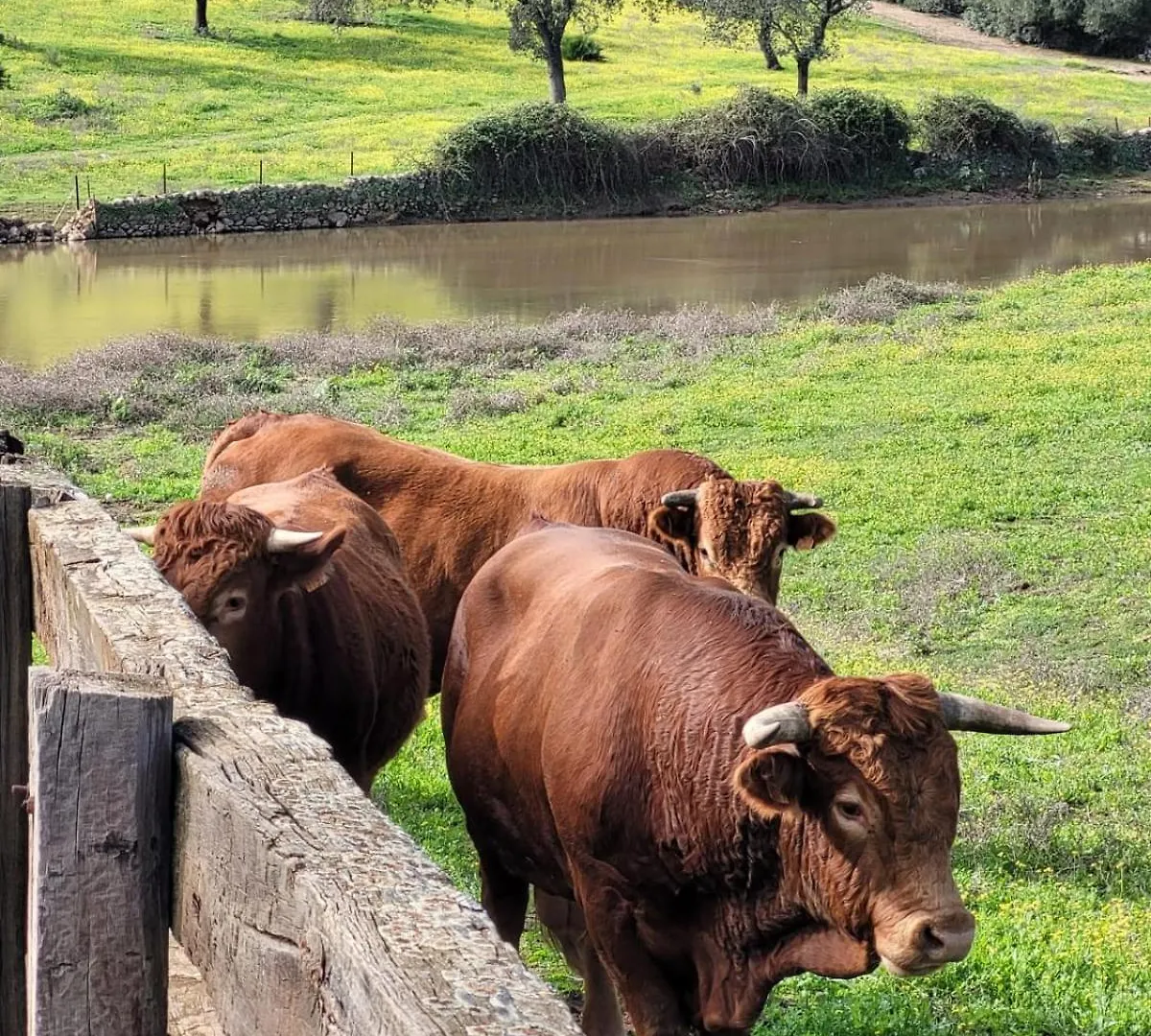 Alojamiento Rural Finca Barral El Garrobo 0*,