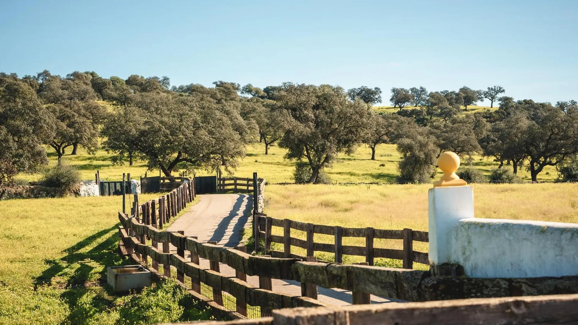 Alojamiento Rural Finca Barral El Garrobo 0*,